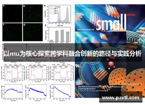 以mu为核心探索跨学科融合创新的路径与实践分析