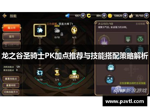龙之谷圣骑士PK加点推荐与技能搭配策略解析