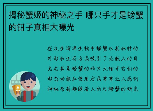 揭秘蟹姬的神秘之手 哪只手才是螃蟹的钳子真相大曝光